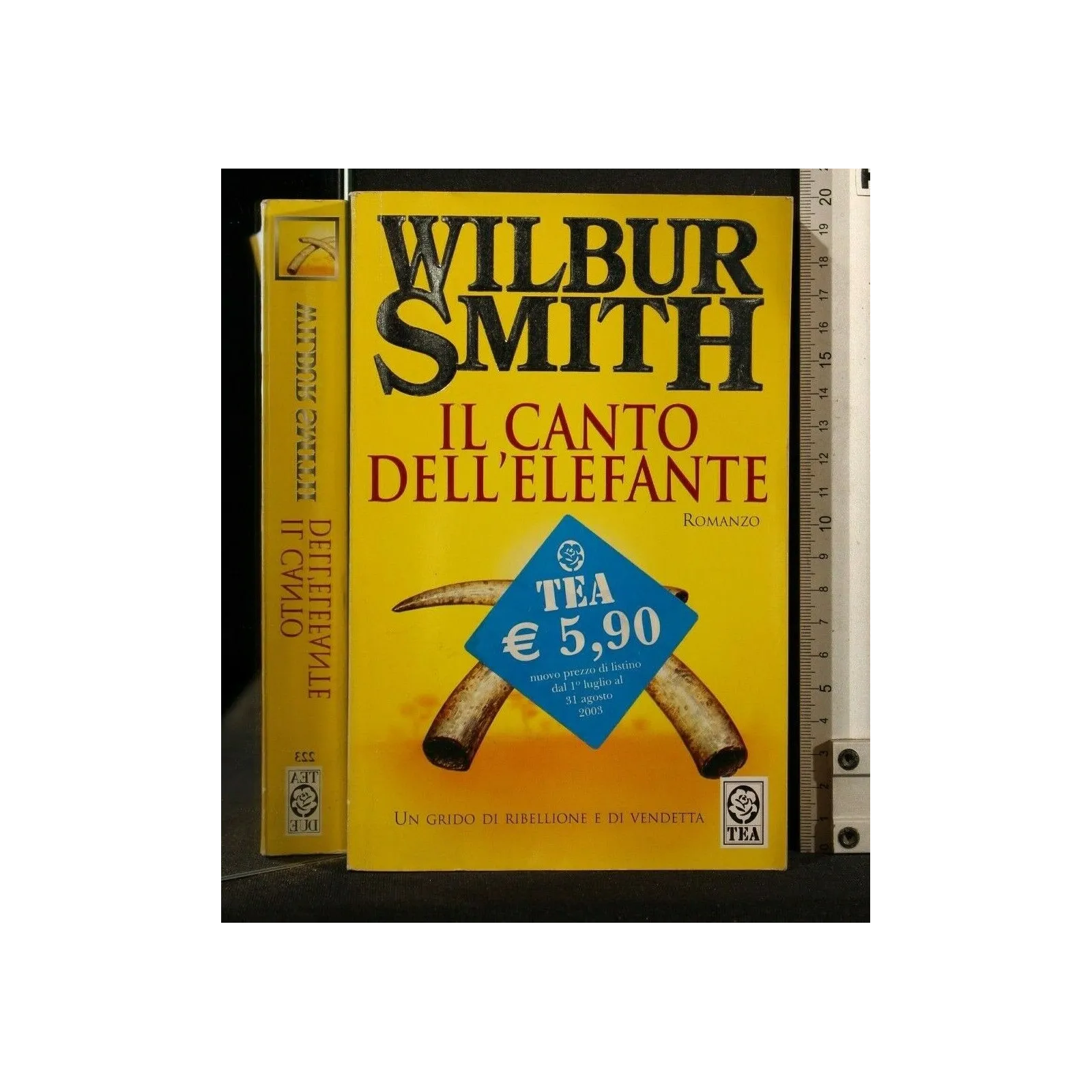 IL CANTO DELL'ELEFANTE