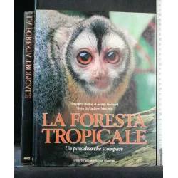 LA FORESTA TROPICALE