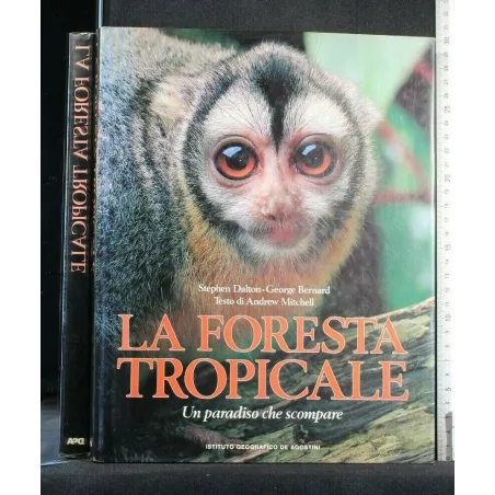 LA FORESTA TROPICALE