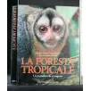 LA FORESTA TROPICALE