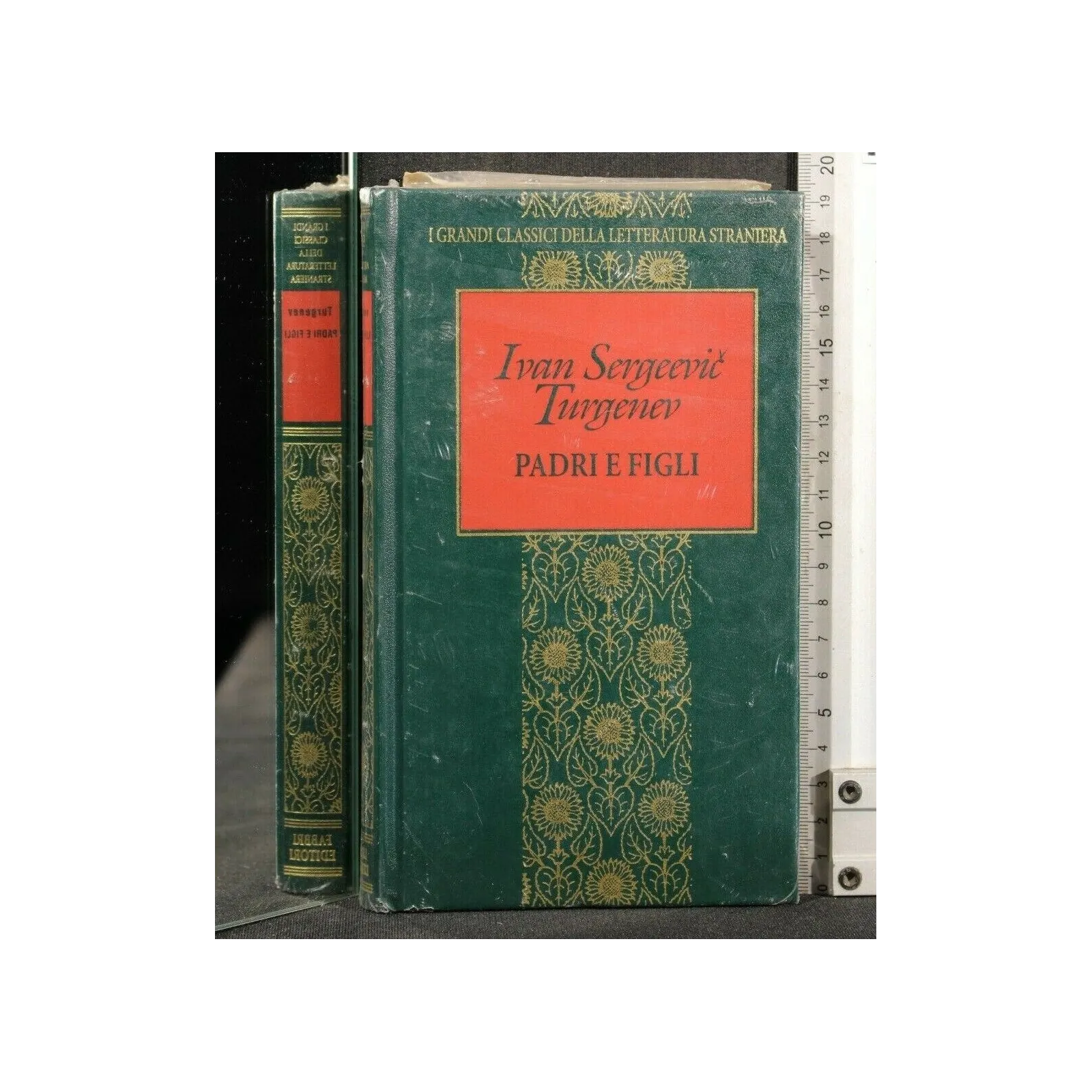 I GRANDI CLASSICI DELLA LETTERATURA STRANIERA PADRI E FIGLI