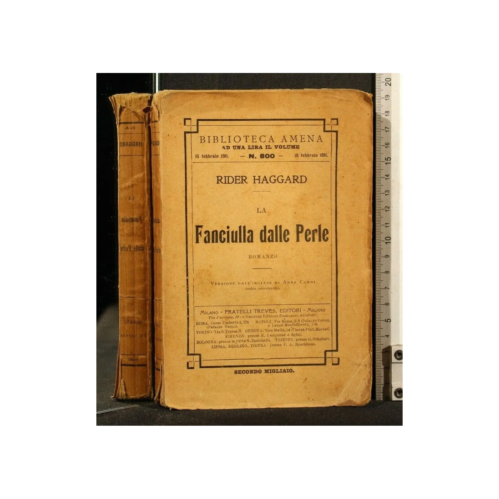 LA FANCIULLA DALLE PERLE