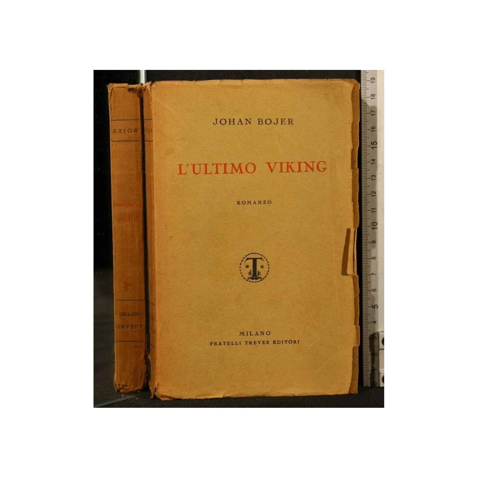 L'ULTIMO VIKING
