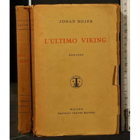 L'ULTIMO VIKING