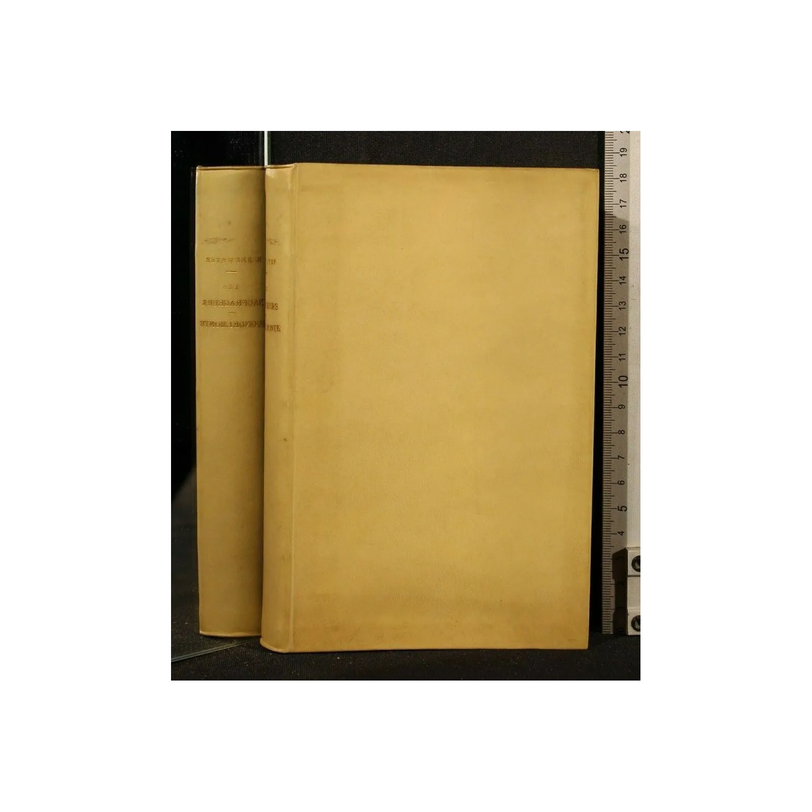 LES NAUFRAGEURS BUONDELMONTE