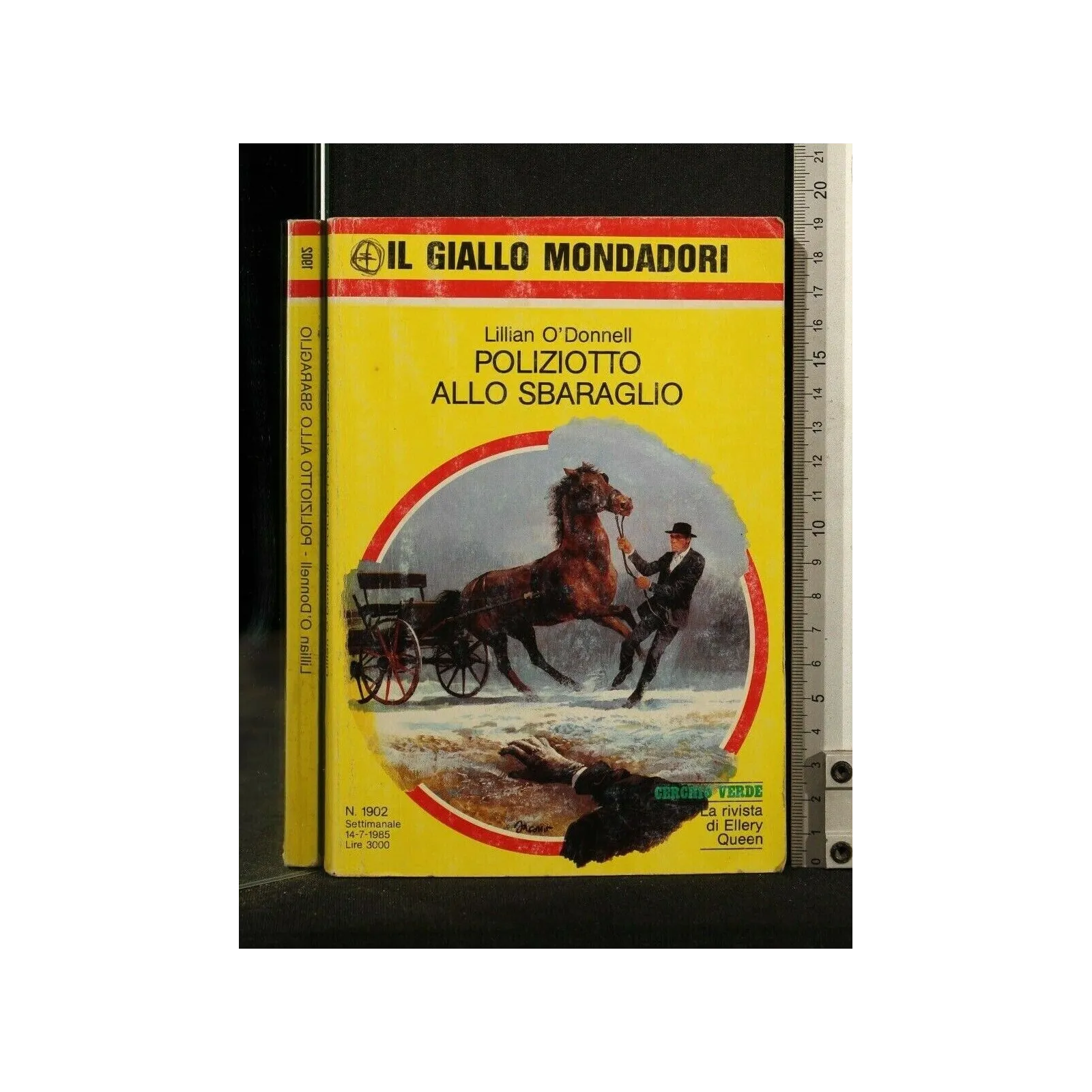 POLIZIOTTO ALLO SBARAGLIO