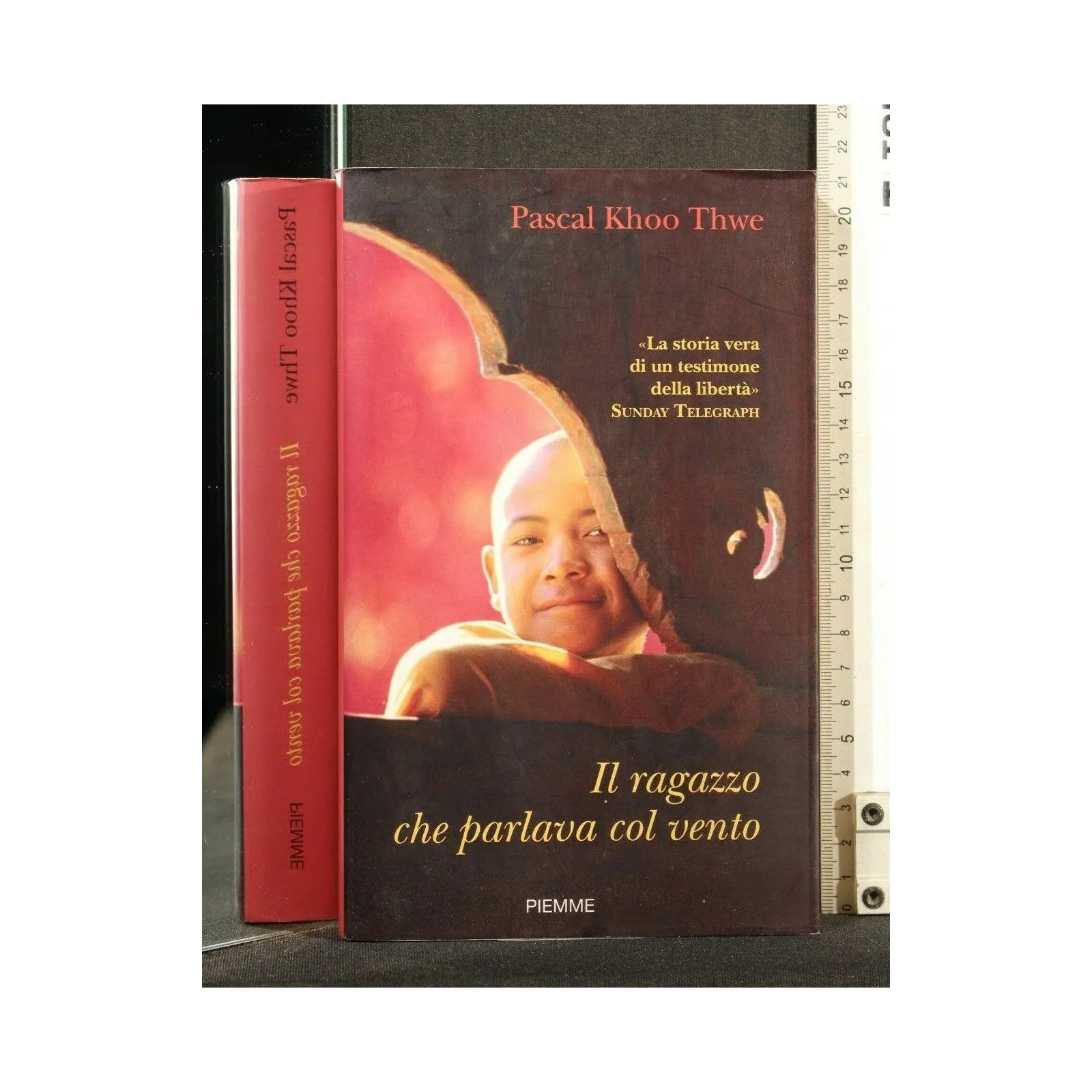 IL RAGAZZO CHE PARLAVA CON VENTO