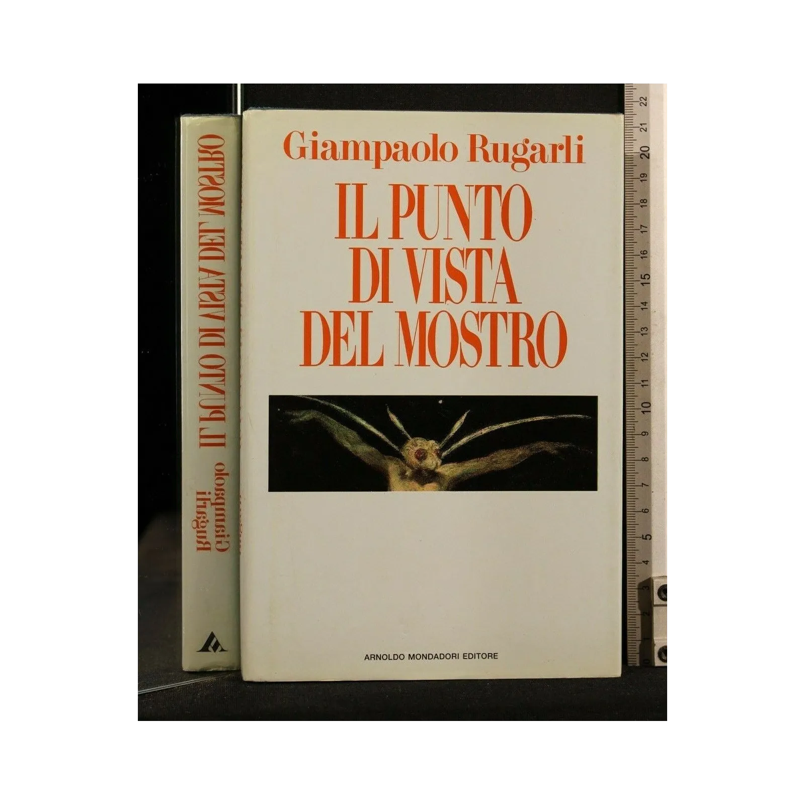 IL PUNTO DI VISTA DEL MOSTRO