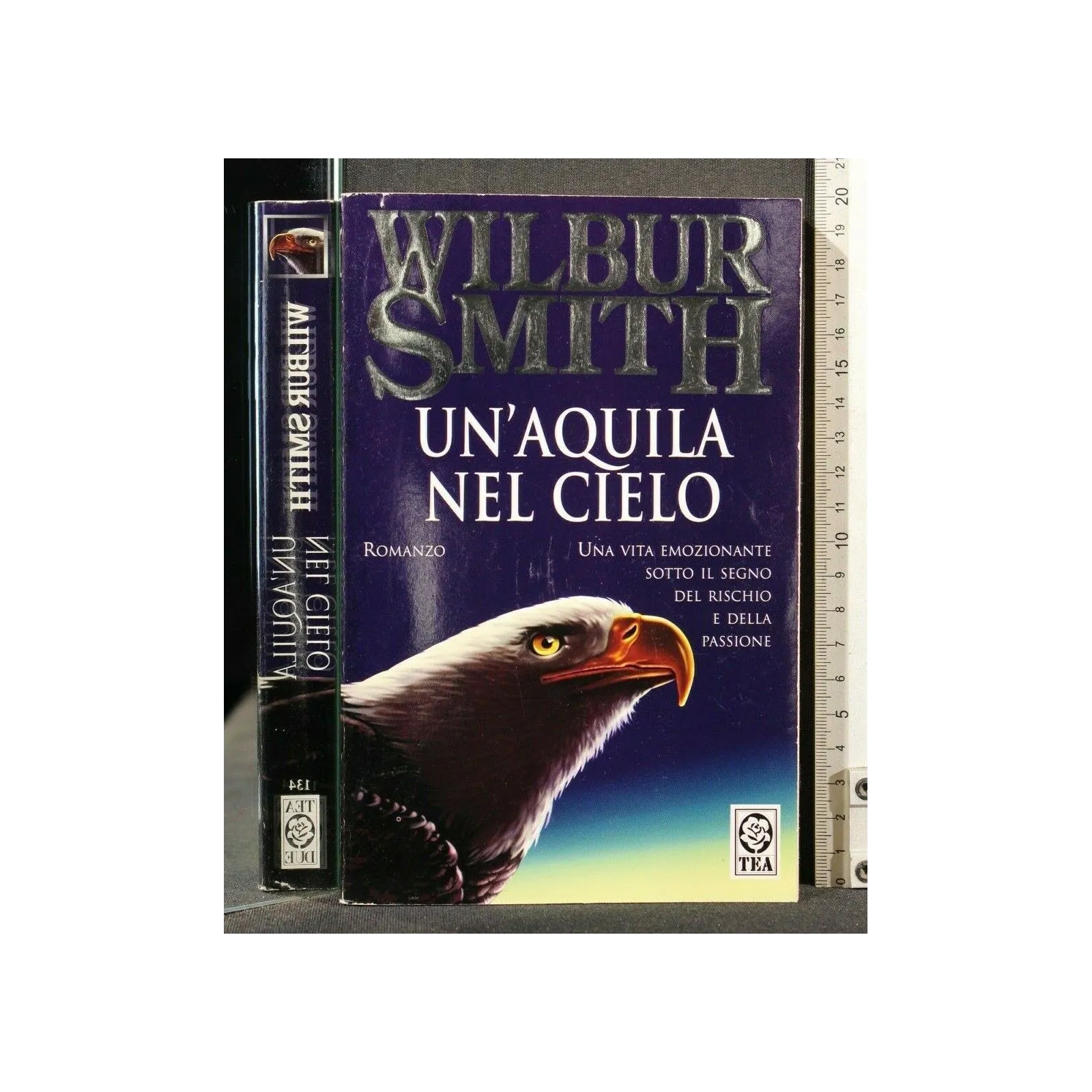 UN'AQUILA NEL CIELO