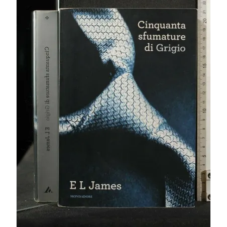 CINQUANTA SFUMATURE DI GRIGIO