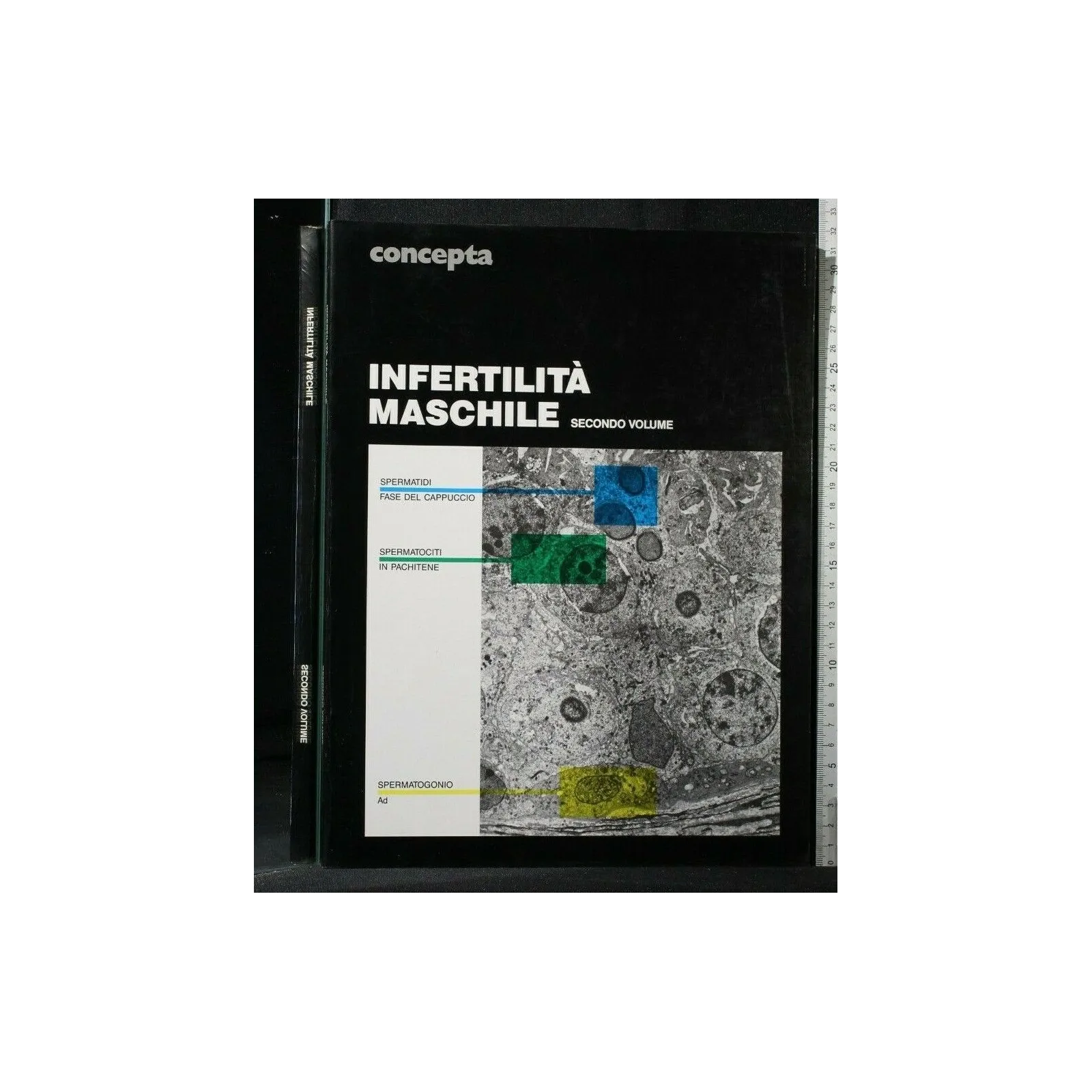 CONCEPTA INFERTILITA' MASCHILE VOLUME 2