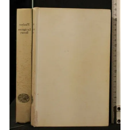 LA SIGNORA BOVARY