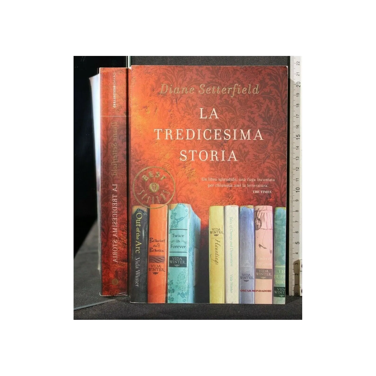 LA TREDICESIMA STORIA