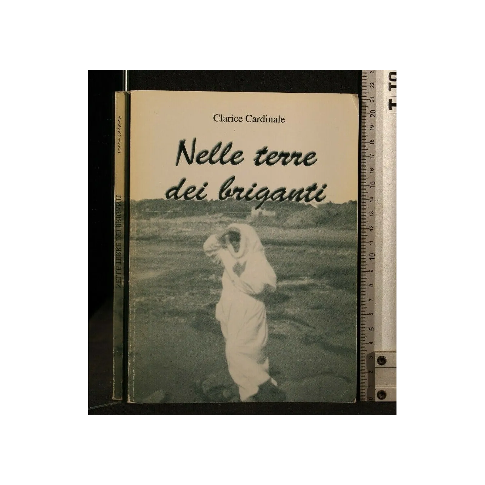 NELLE TERRE DEI BRIGANTI