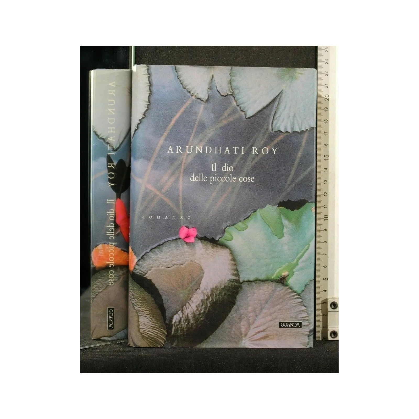 IL DIO DELLE PICCOLE COSE