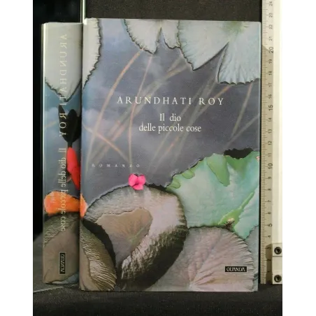 IL DIO DELLE PICCOLE COSE