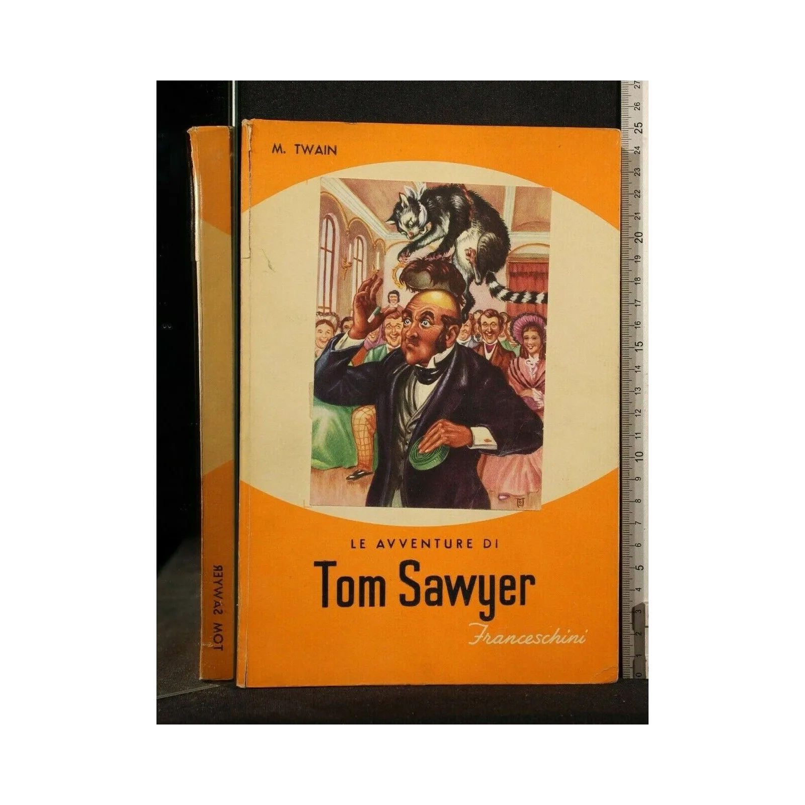 LE AVVENTURE DI TOM SAWYER