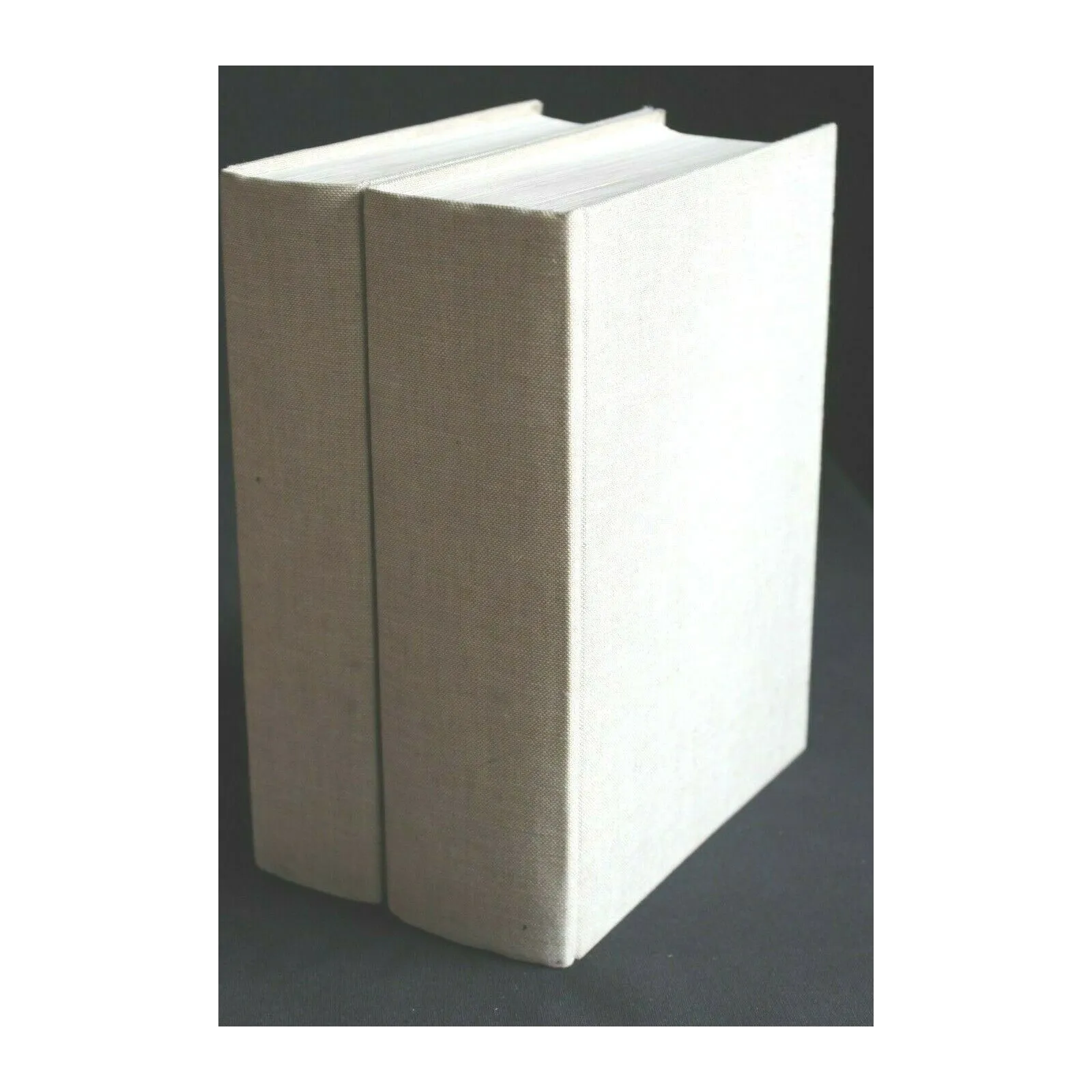 DIZIONARIO ITALIANO- INGLESE INGLESE-ITALIANO