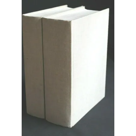 DIZIONARIO ITALIANO- INGLESE INGLESE-ITALIANO