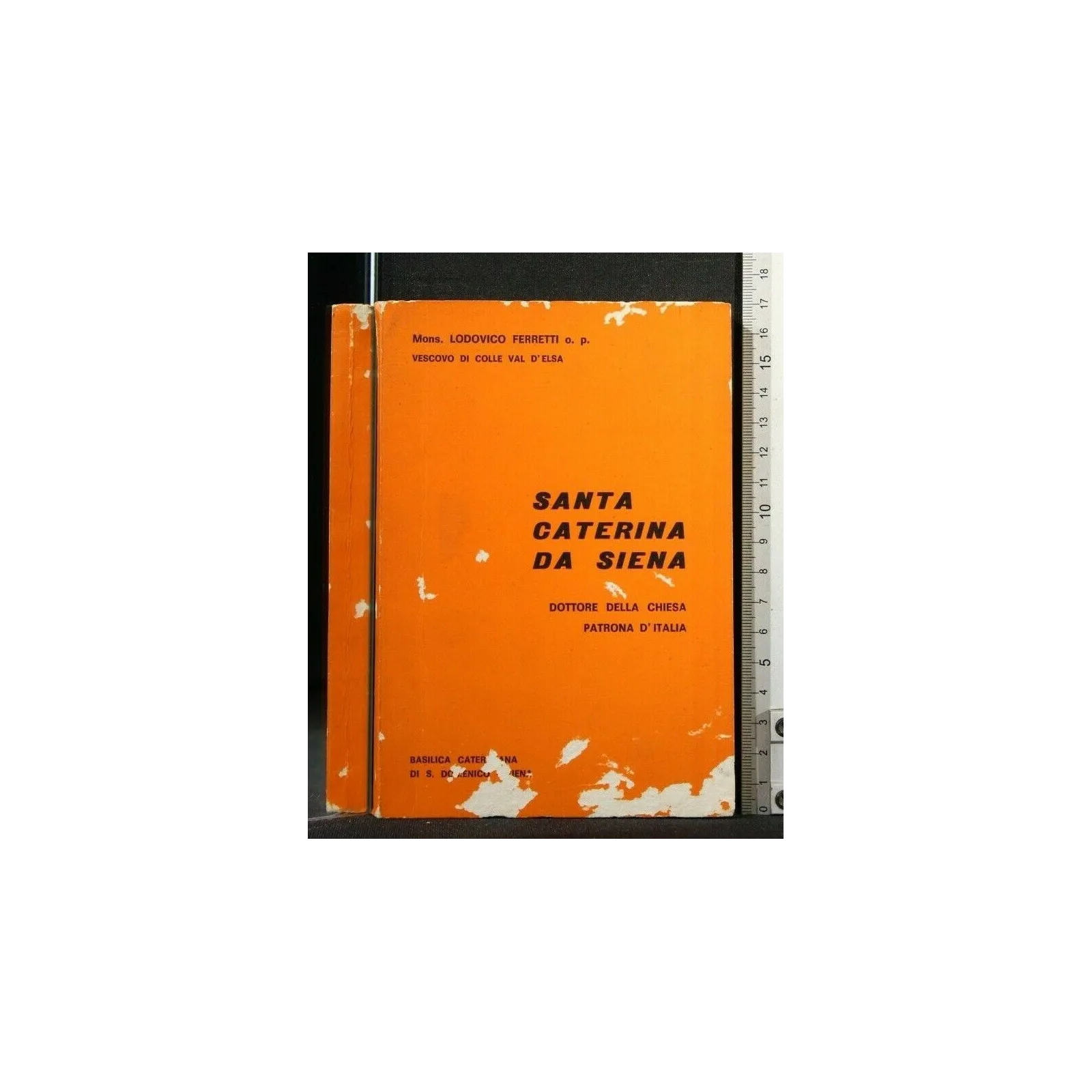 SANTA CATERINA DA SIENA