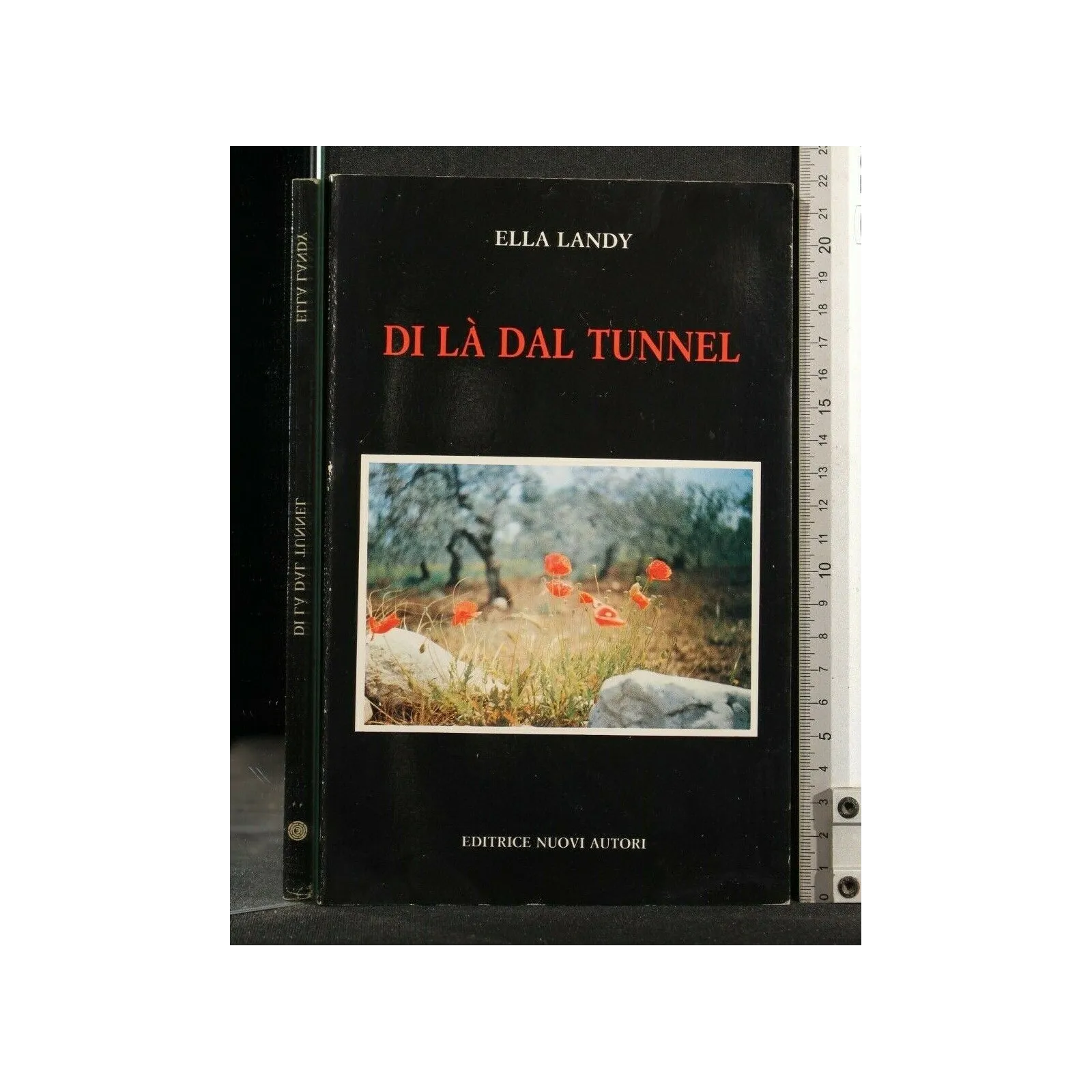 DI LA' DAL TUNNEL