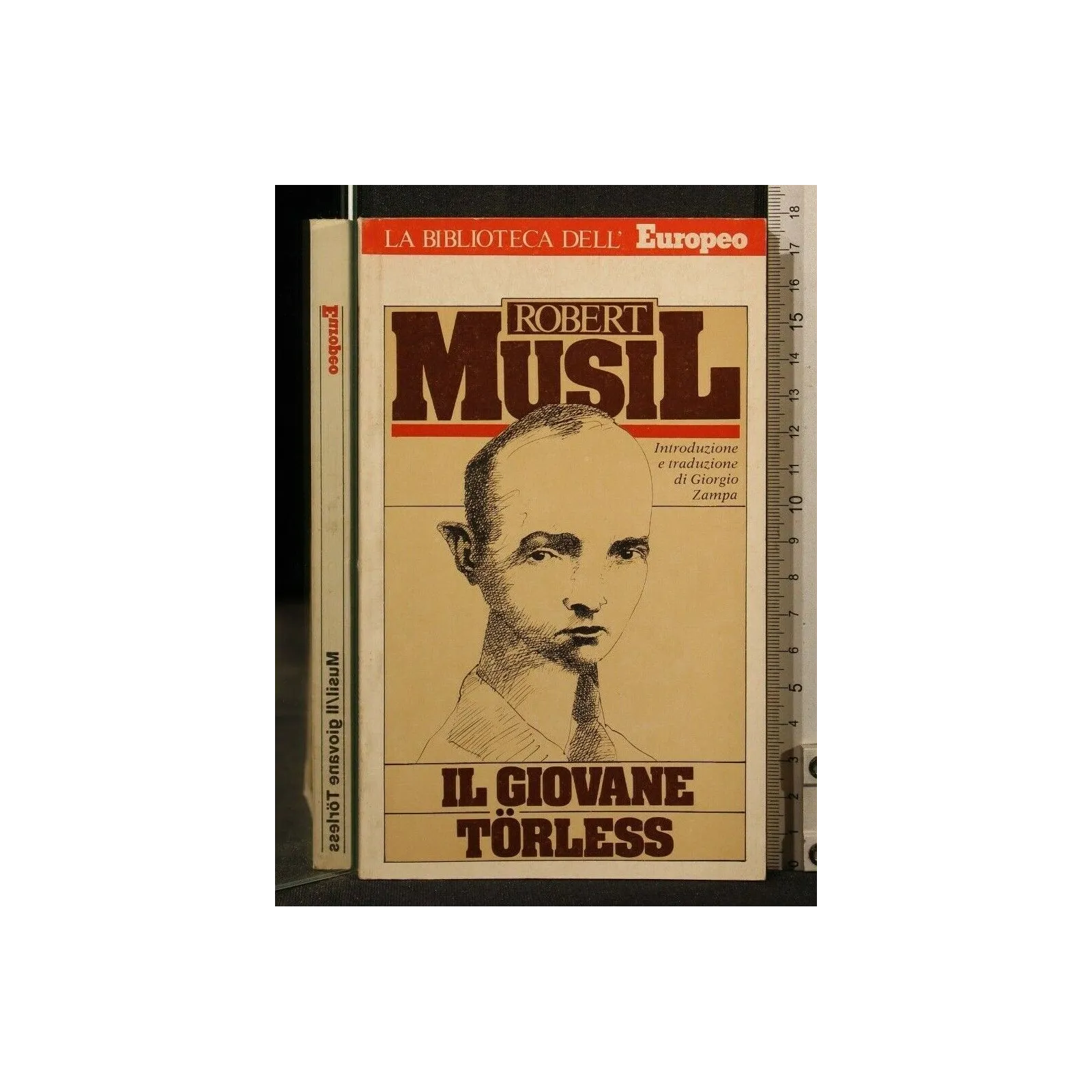 IL GIOVANE TORLESS