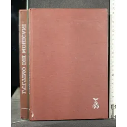 L'ULTIMO DEI MOHICANI