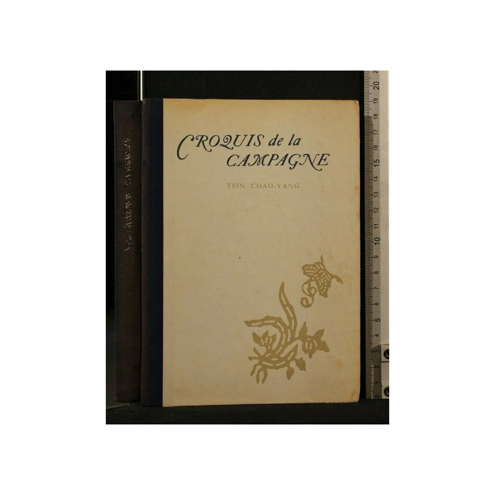 CROQUIS DE LA CAMPAGNE