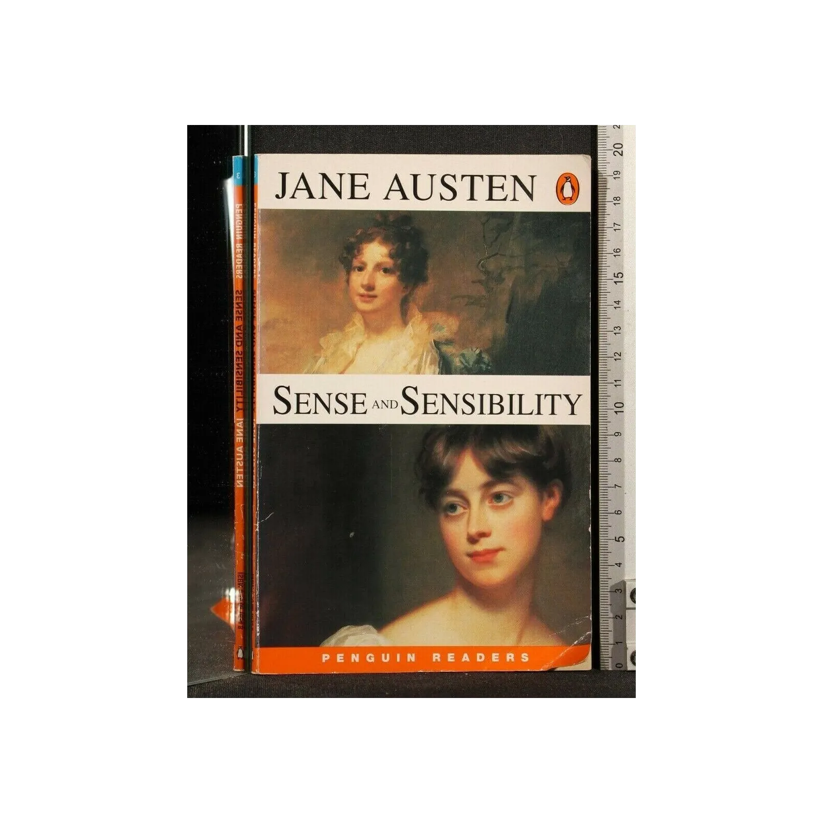 SENSE AND SENSIBILITY