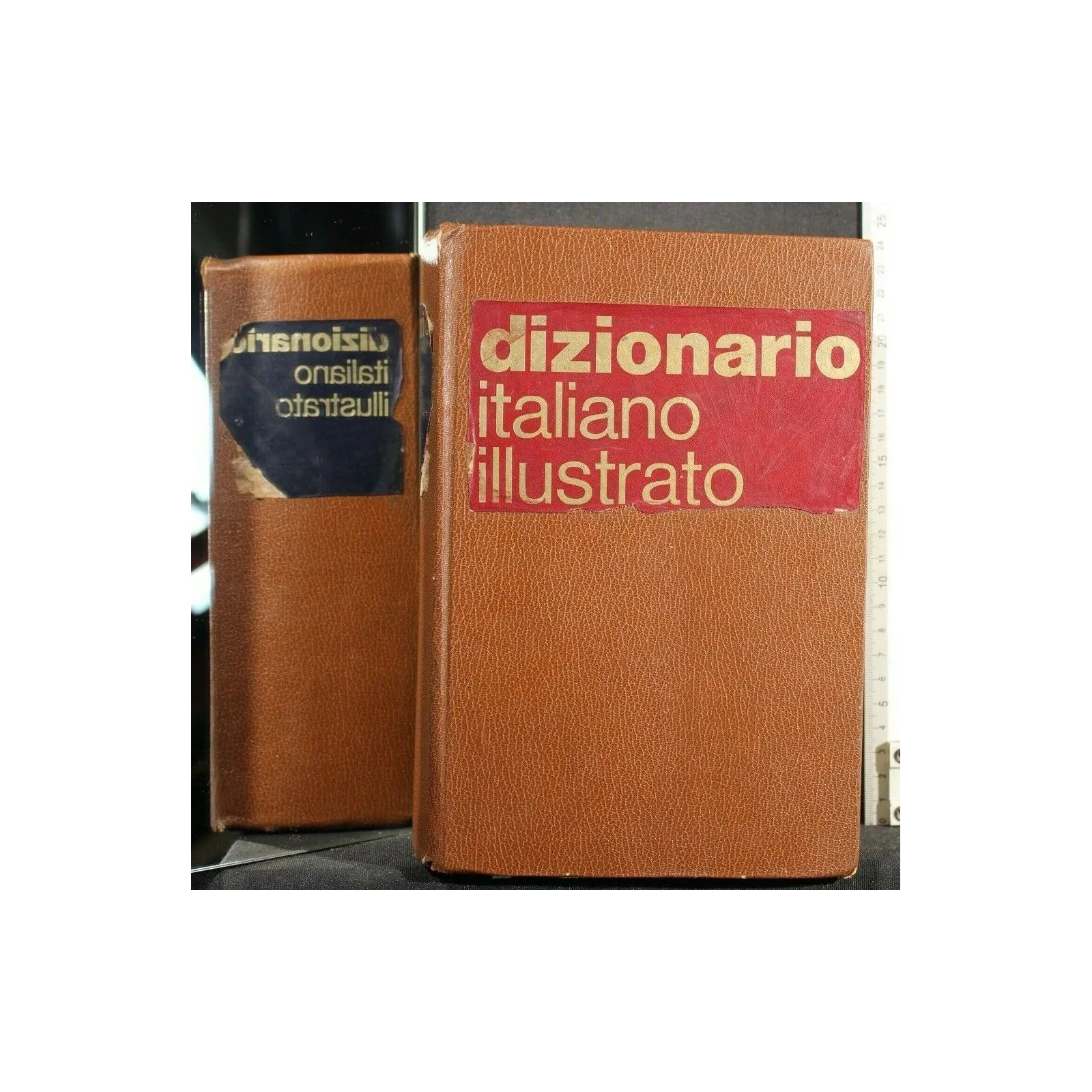 DIZIONARIO ITALIANO ILLUSTRATO 1974