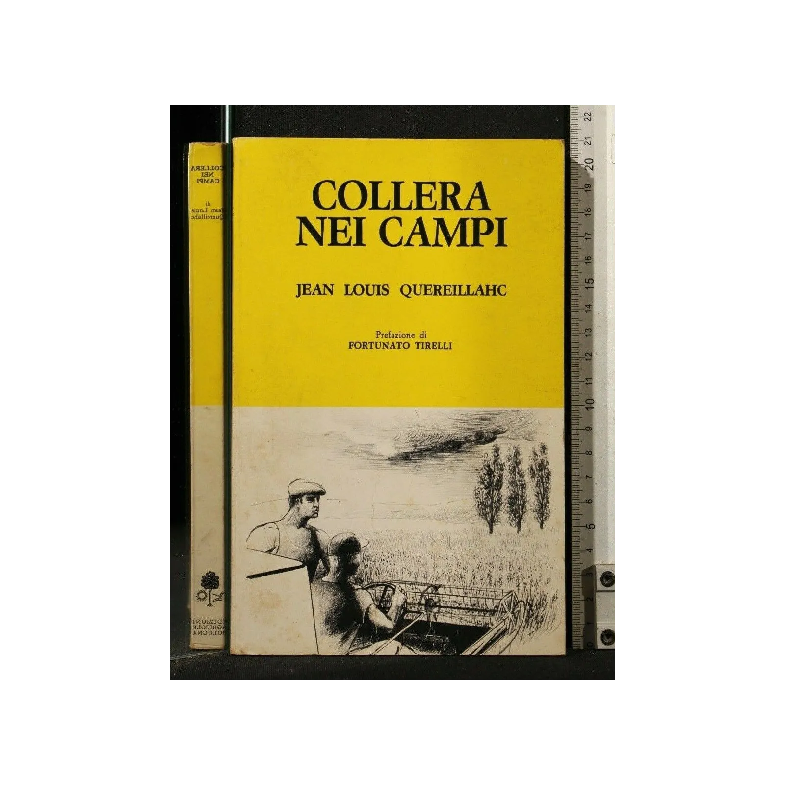 COLLERA NEI CAMPI