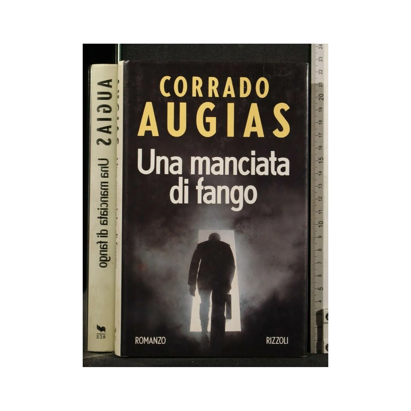 UNA MANCIATA DI FANGO