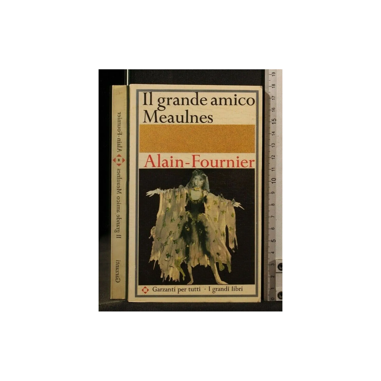 IL GRANDE AMICO MEAULNES