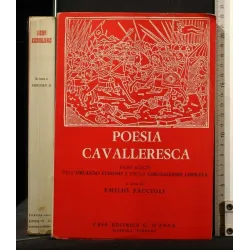 POESIA CAVALLERESCA