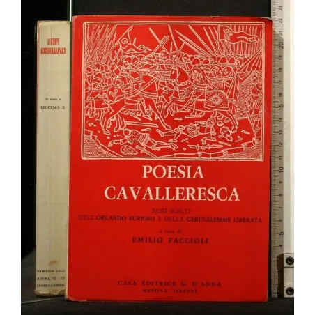 POESIA CAVALLERESCA
