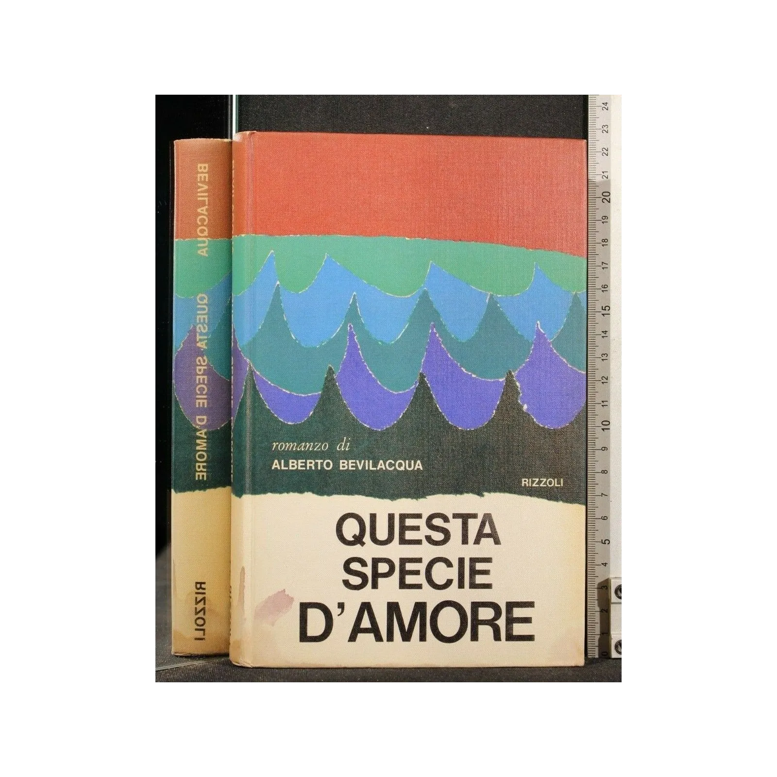 QUESTA SPECIE D'AMORE