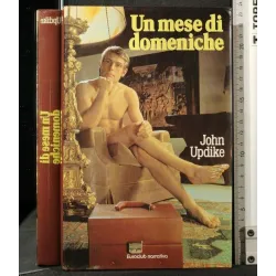 UN MESE DI DOMENICHE