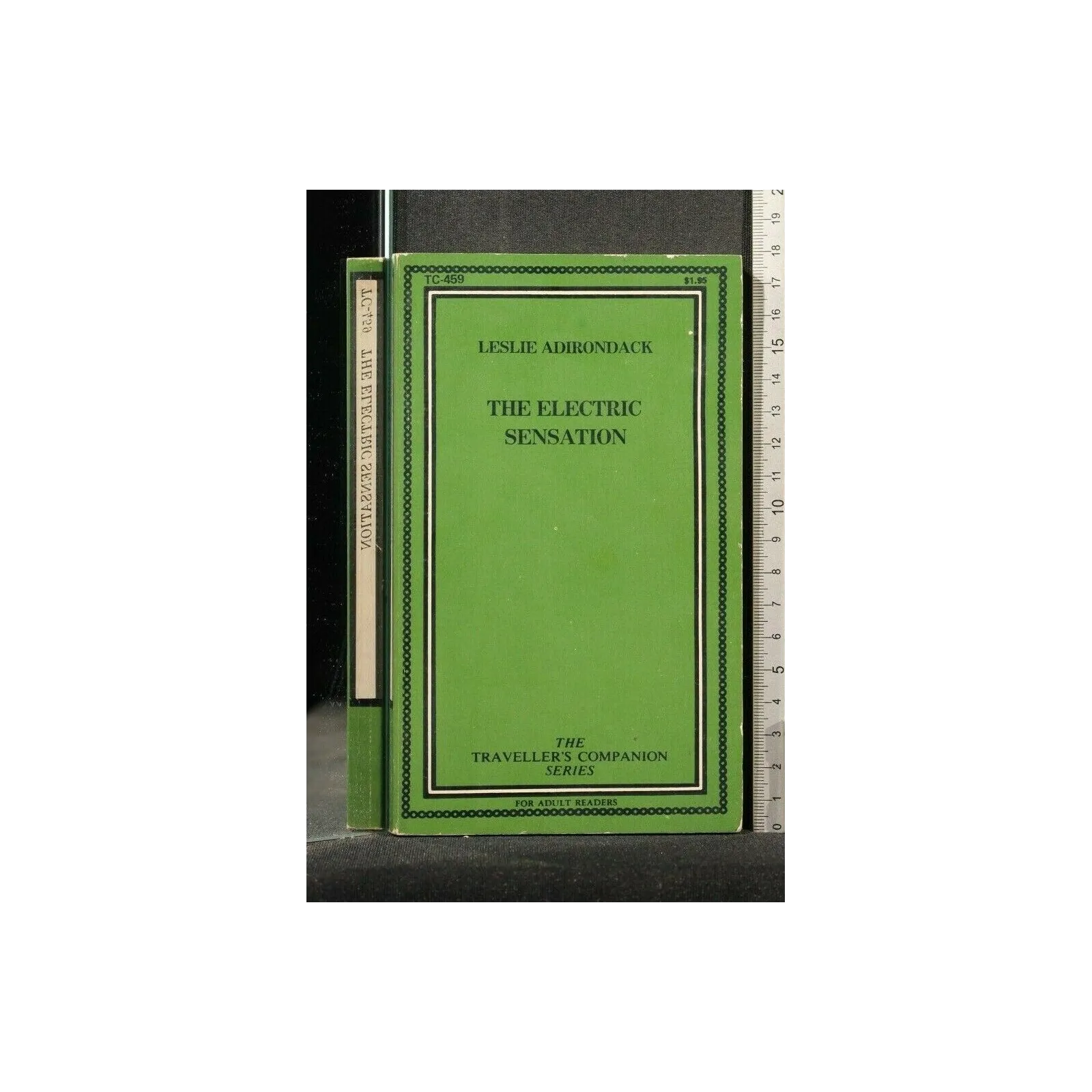 THE ELECTRIC SENSATION