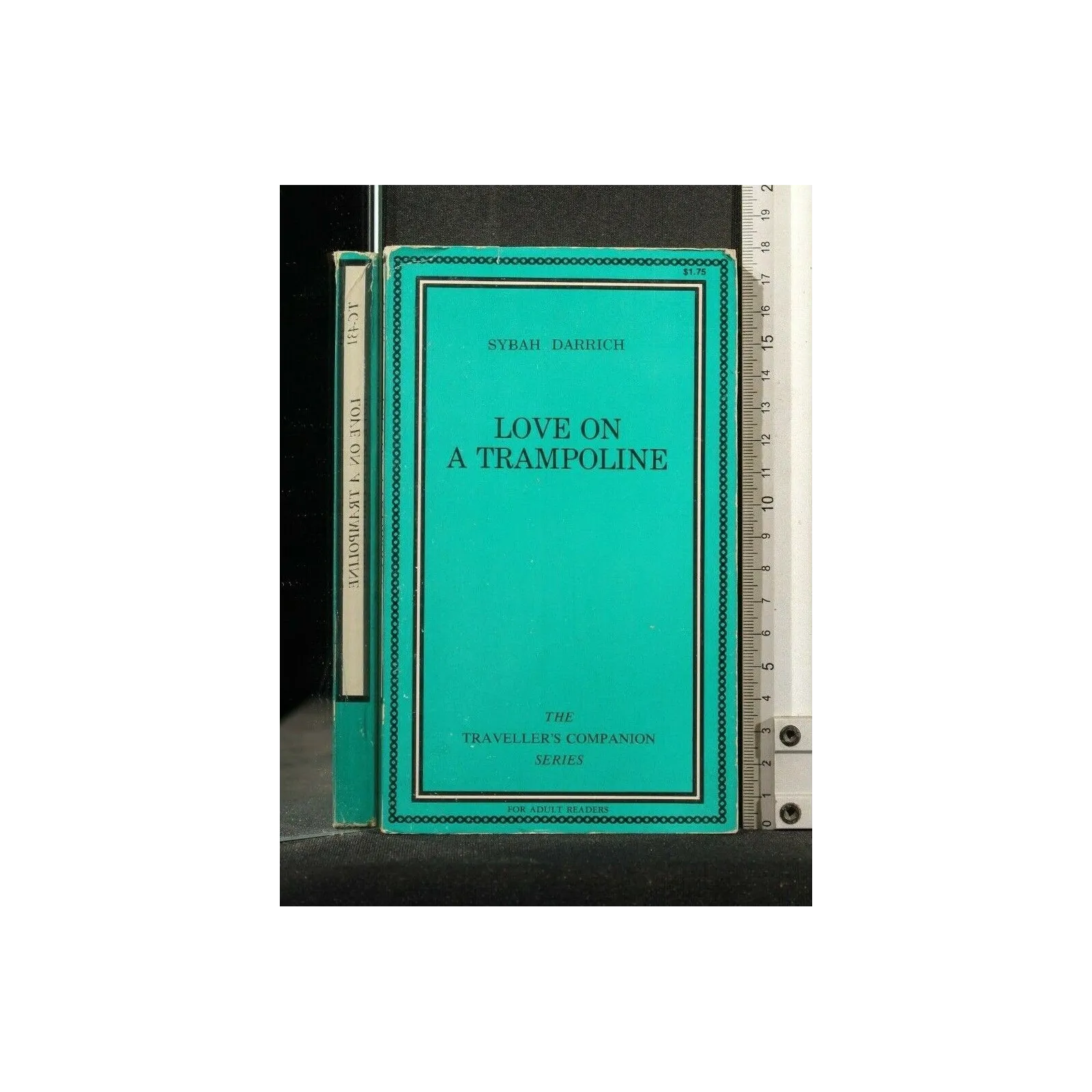 LOVE ON A TRAMPOLINE