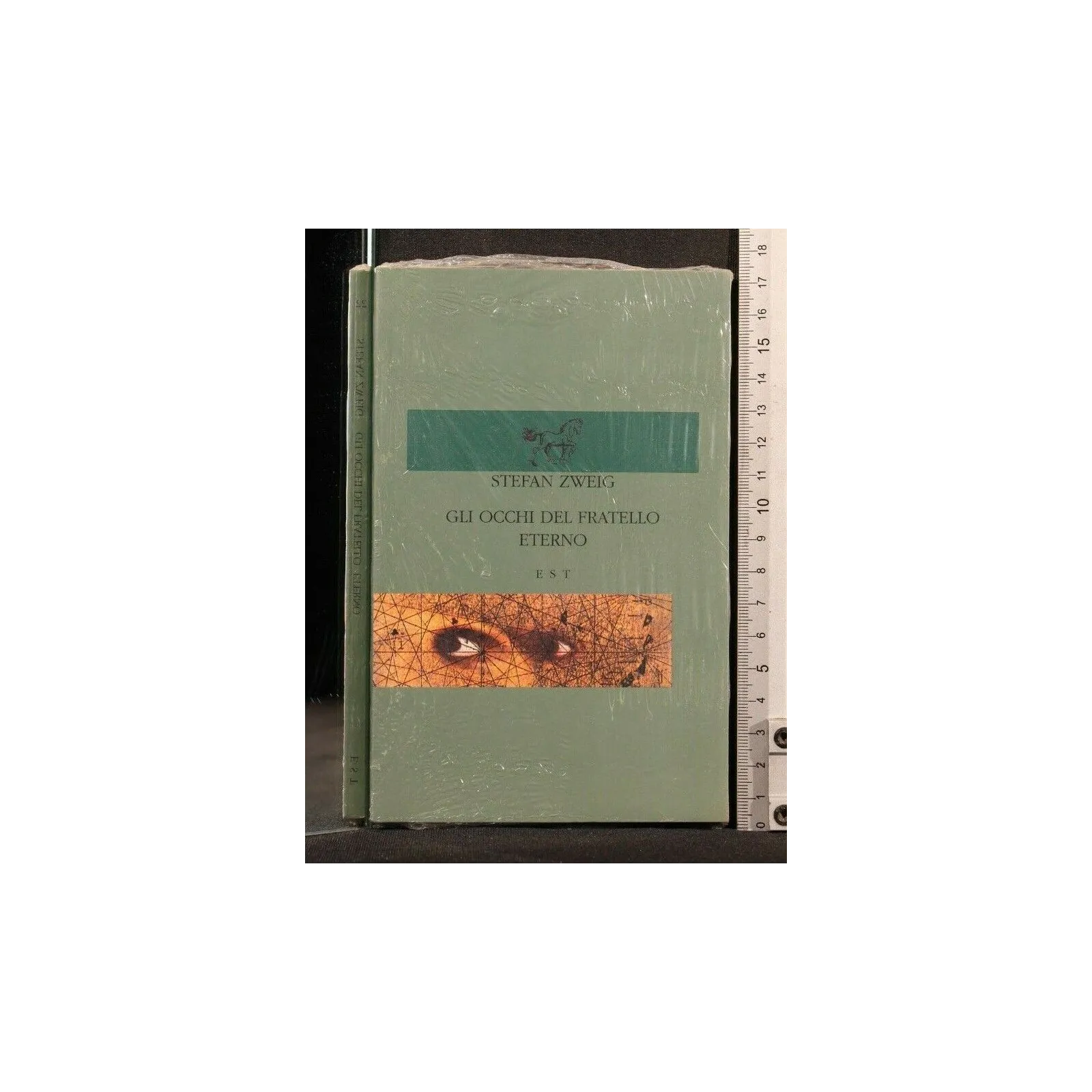 GLI OCCHI DEL FRATELLO ETERNO