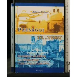 PAESAGGI DI... VERSI