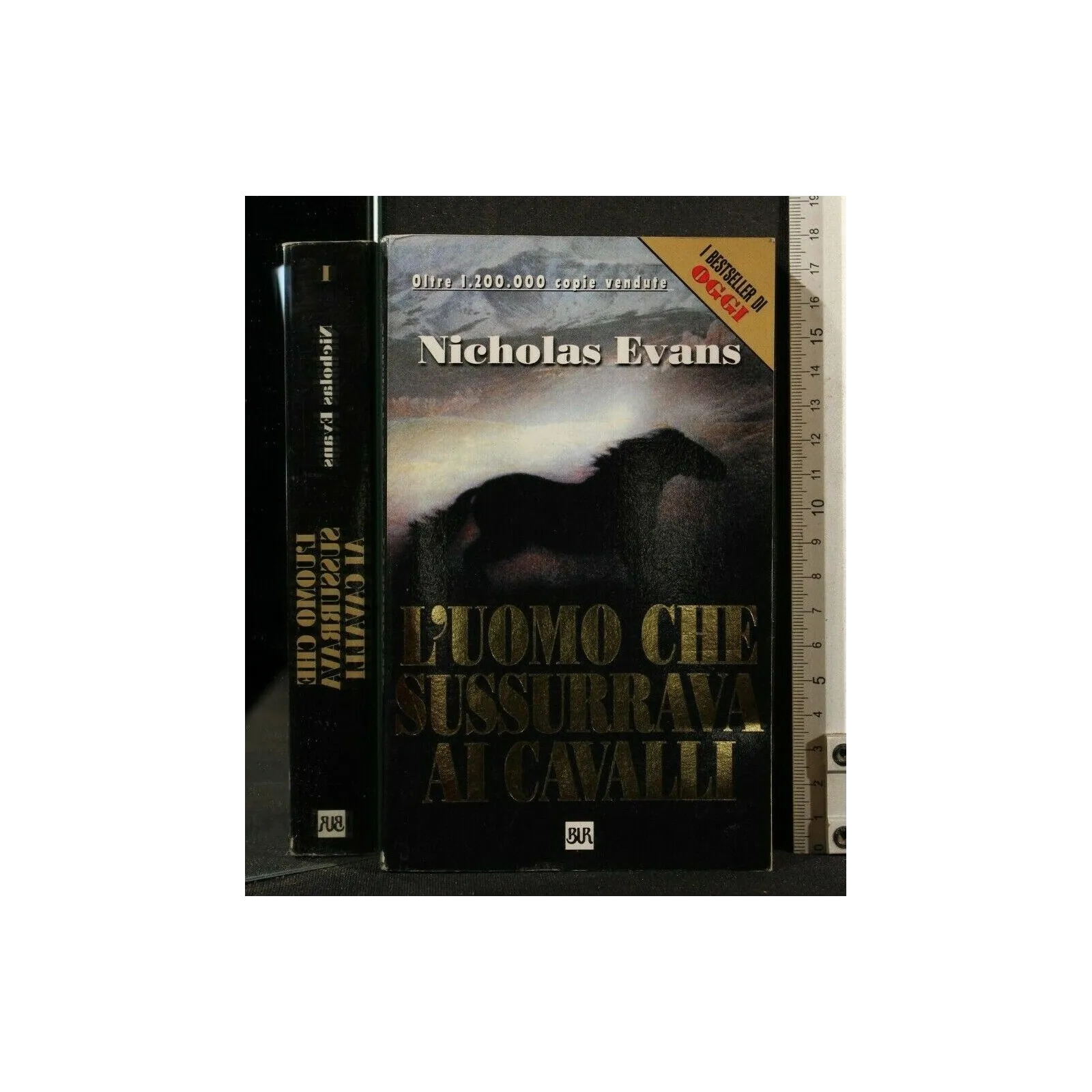 L'UOMO CHE SUSSURRAVA AI CAVALLI