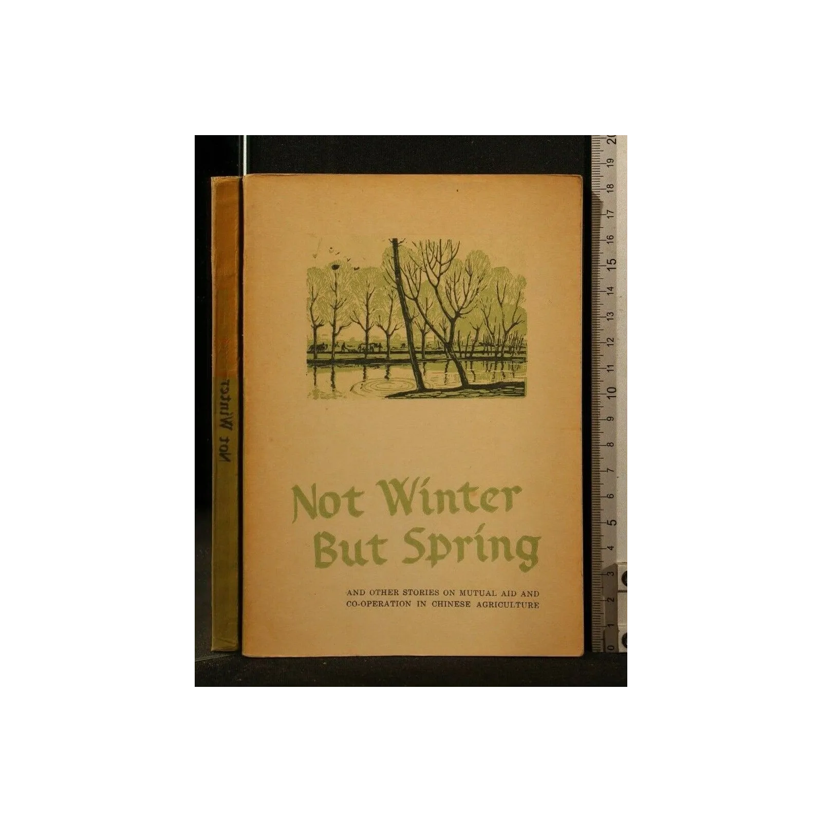 NOT WINTER BUT SPRING