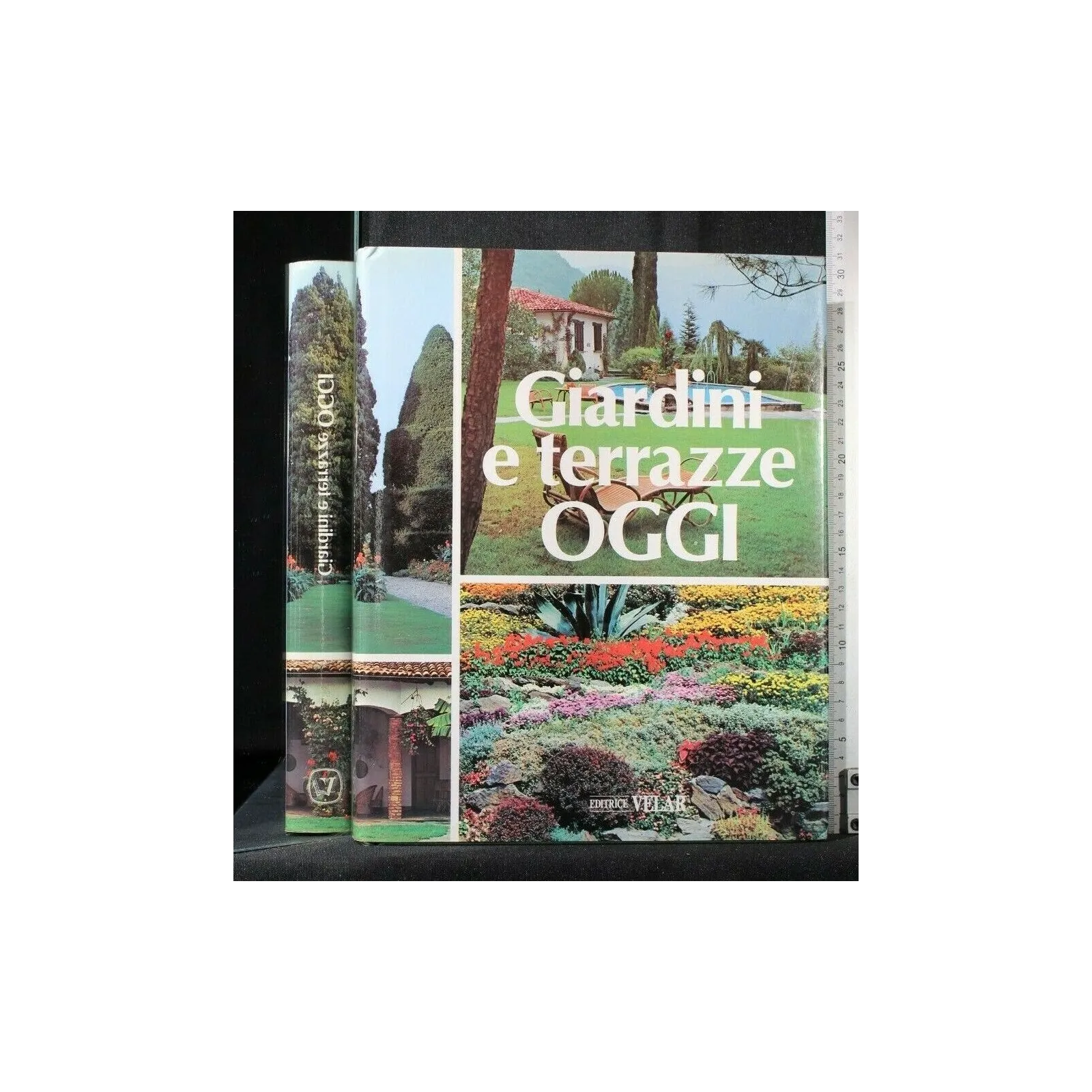 GIARDINI E TERRAZZE OGGI