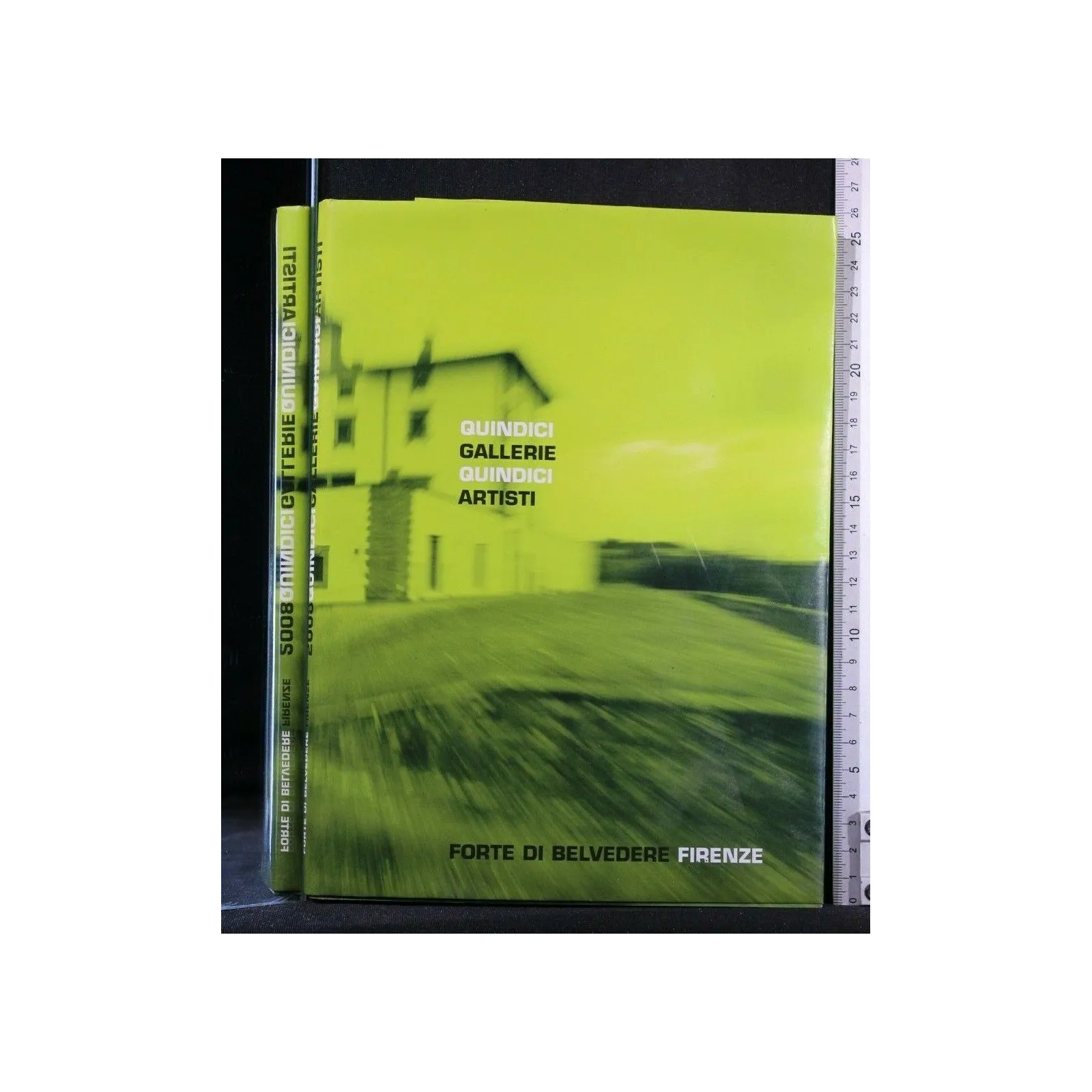 QUINDICI GALLERIE QUINDICI ARTISTI