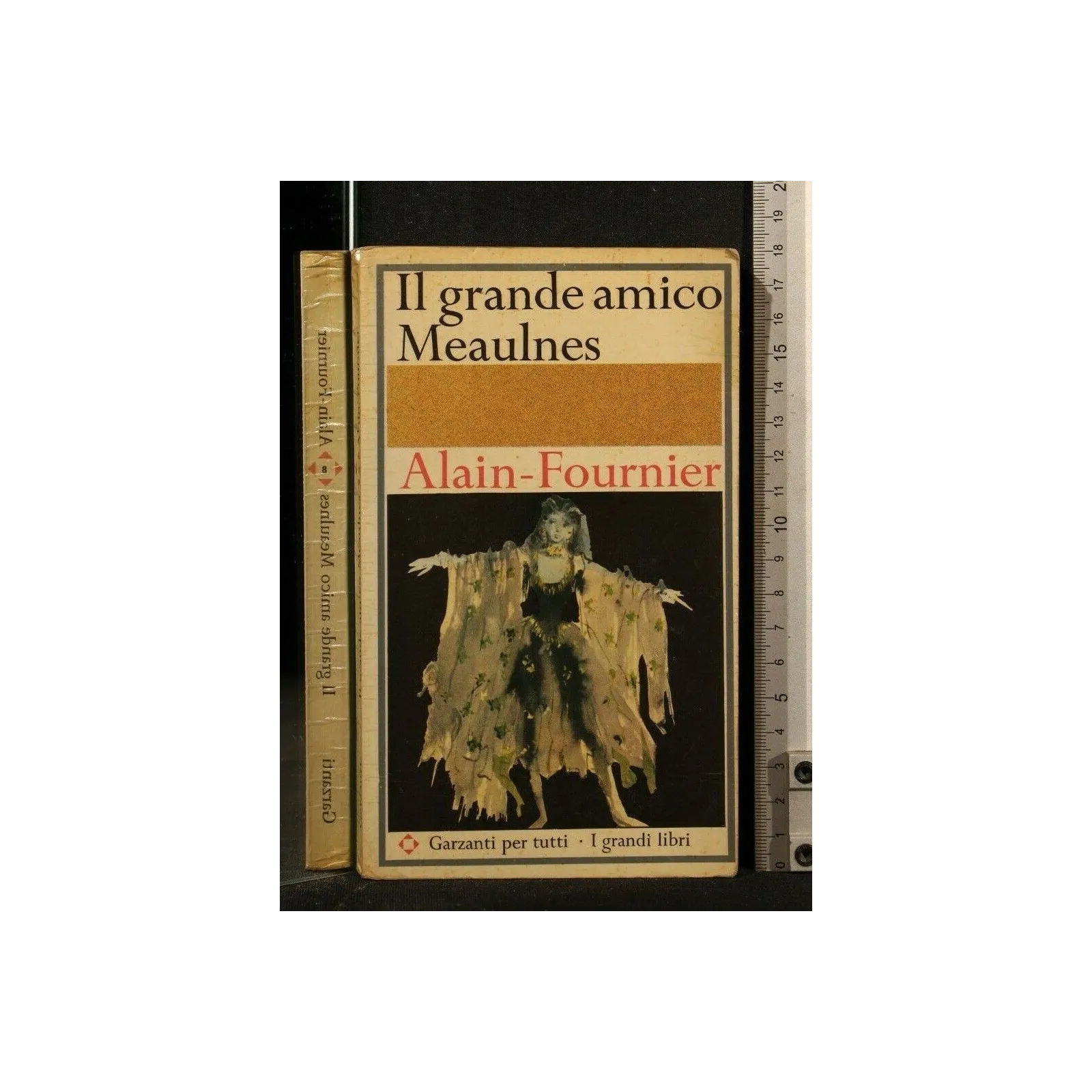 IL GRANDE AMICO MEAULNES