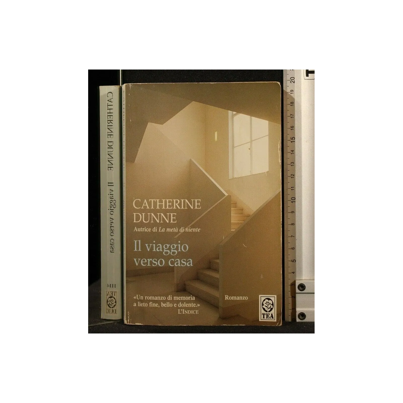 IL VIAGGIO VERSO CASA