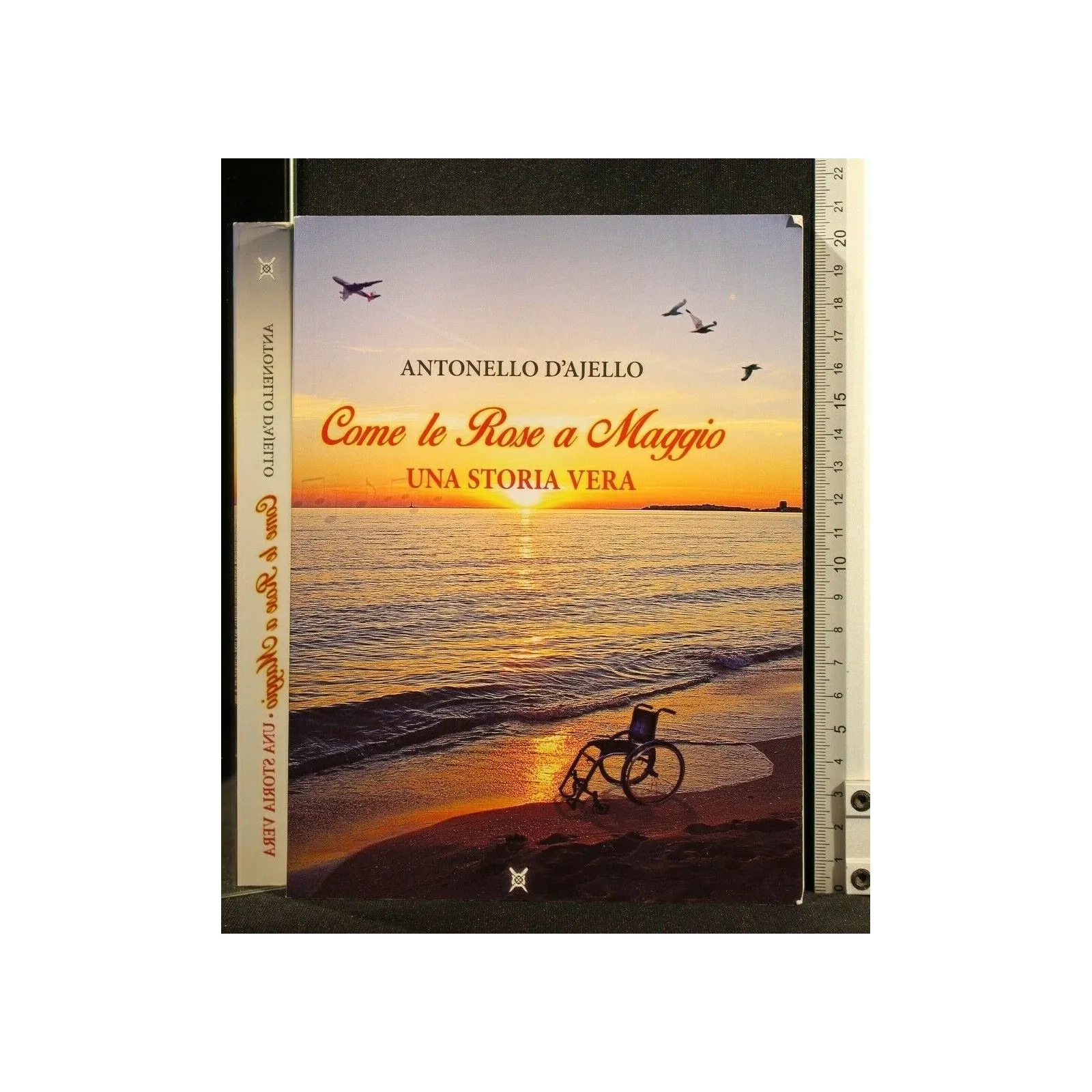 COME LE ROSE A MAGGIO UNA STORIA VERA