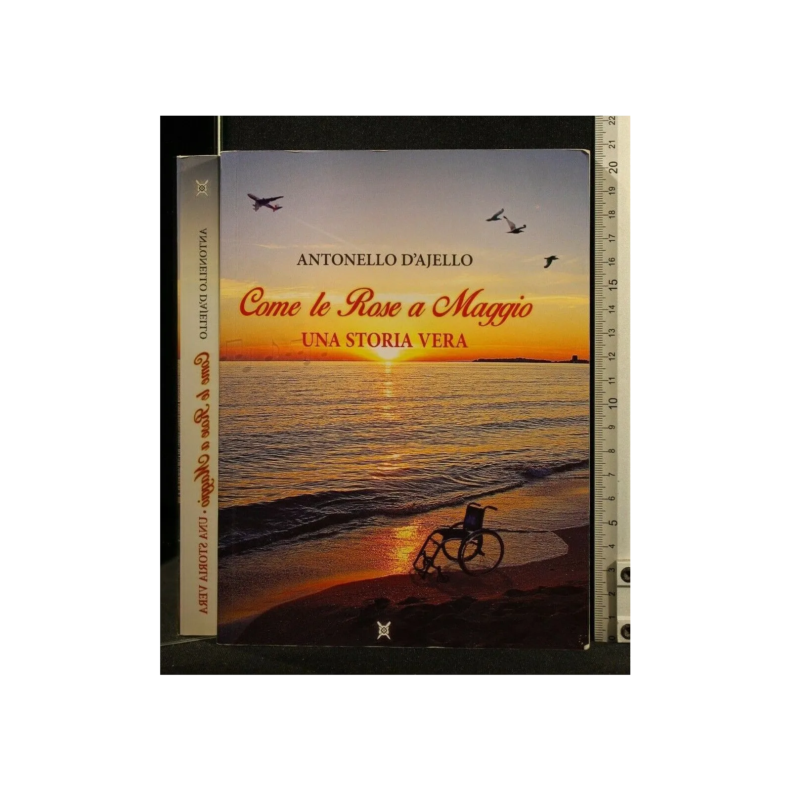 COME LE ROSE A MAGGIO UNA STORIA VERA