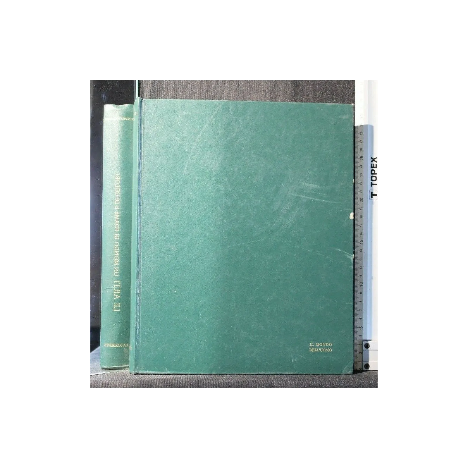 LE ARTI UN MONDO DI FORME E DI COLORI